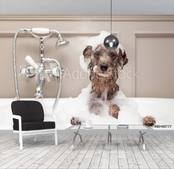 Bild på Funny Dog Taking Bubble Bath